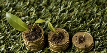ОТП БАНК та «Спектр-Агро» запускають програму фінансування для аграріїв зі зниженими процентними ставками